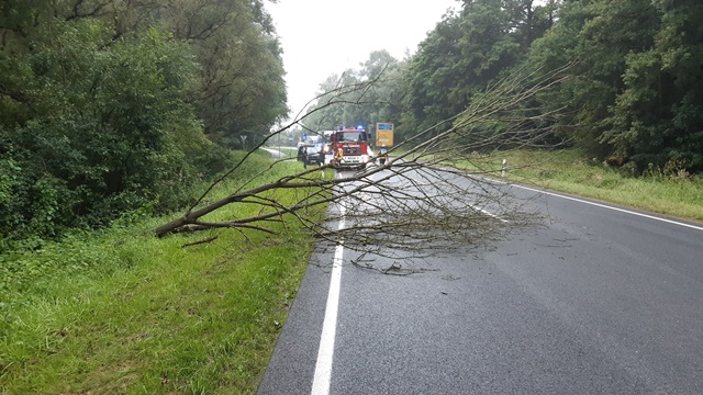 20210818_095713_resized_1 groß.jpg